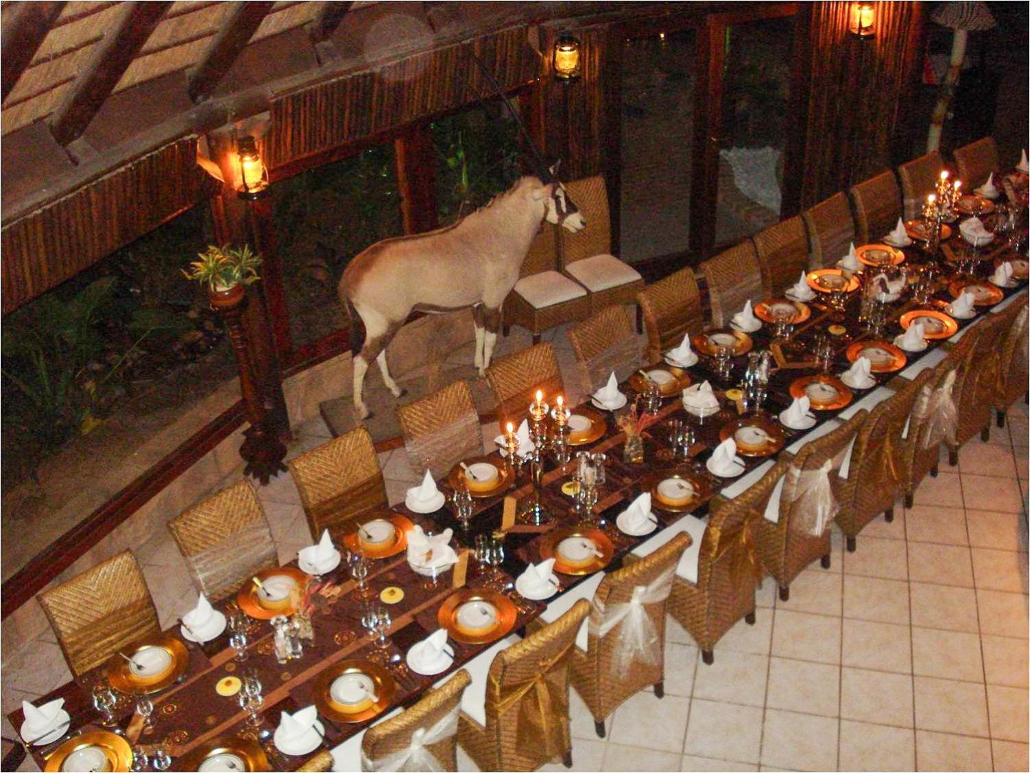 Ditholo Game Lodge Bela Bela 外观 照片