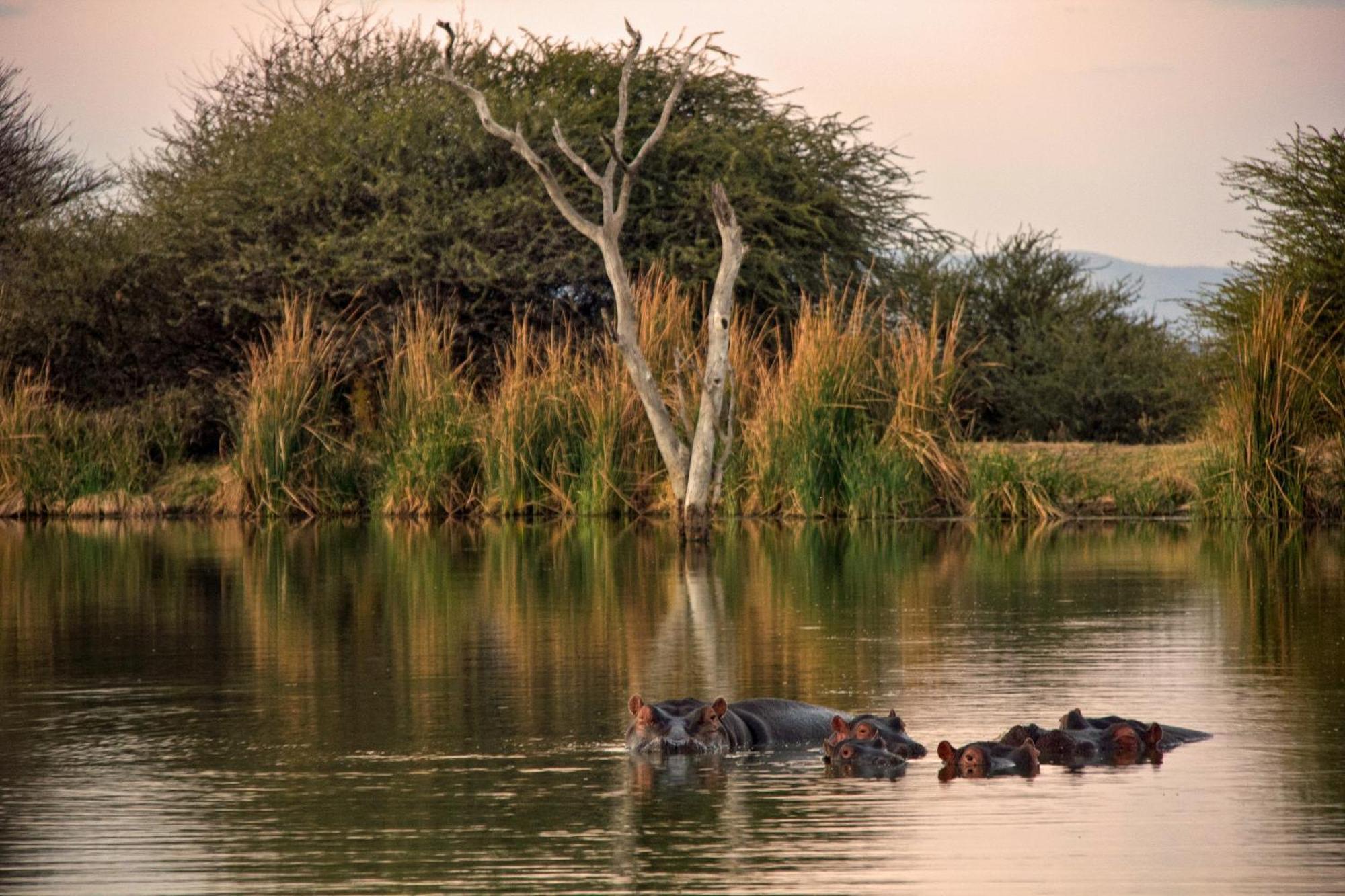 Ditholo Game Lodge Bela Bela 外观 照片